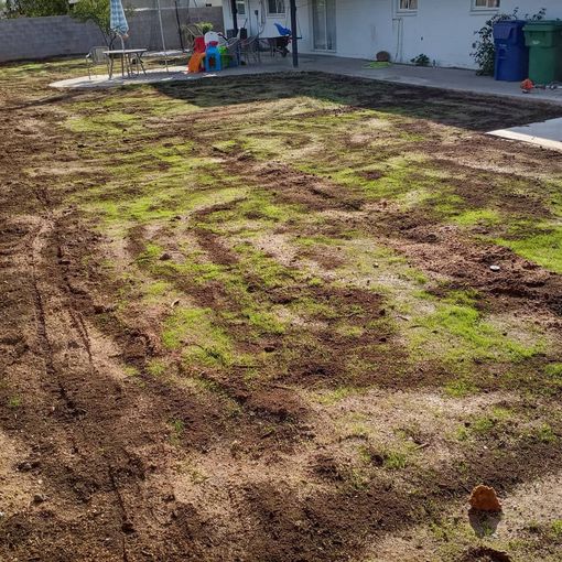 Patchy dirt yard with sparse green grass, a house patio in the background, and trash bins along the fence.