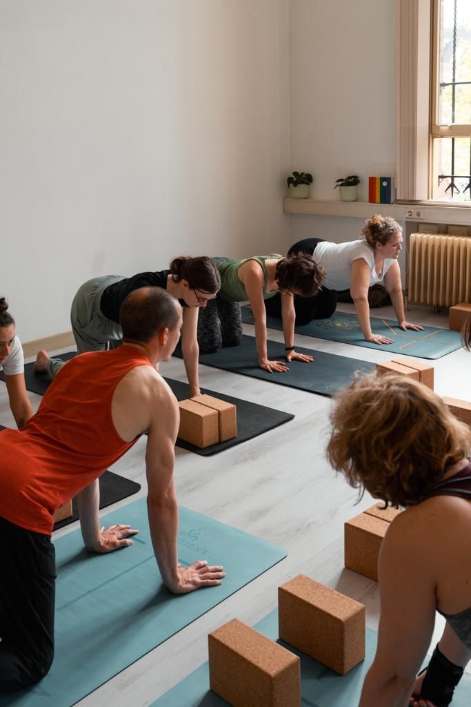 People in a yoga class, in a studio with mats, blocks, and a window. They are in a table-top pose.