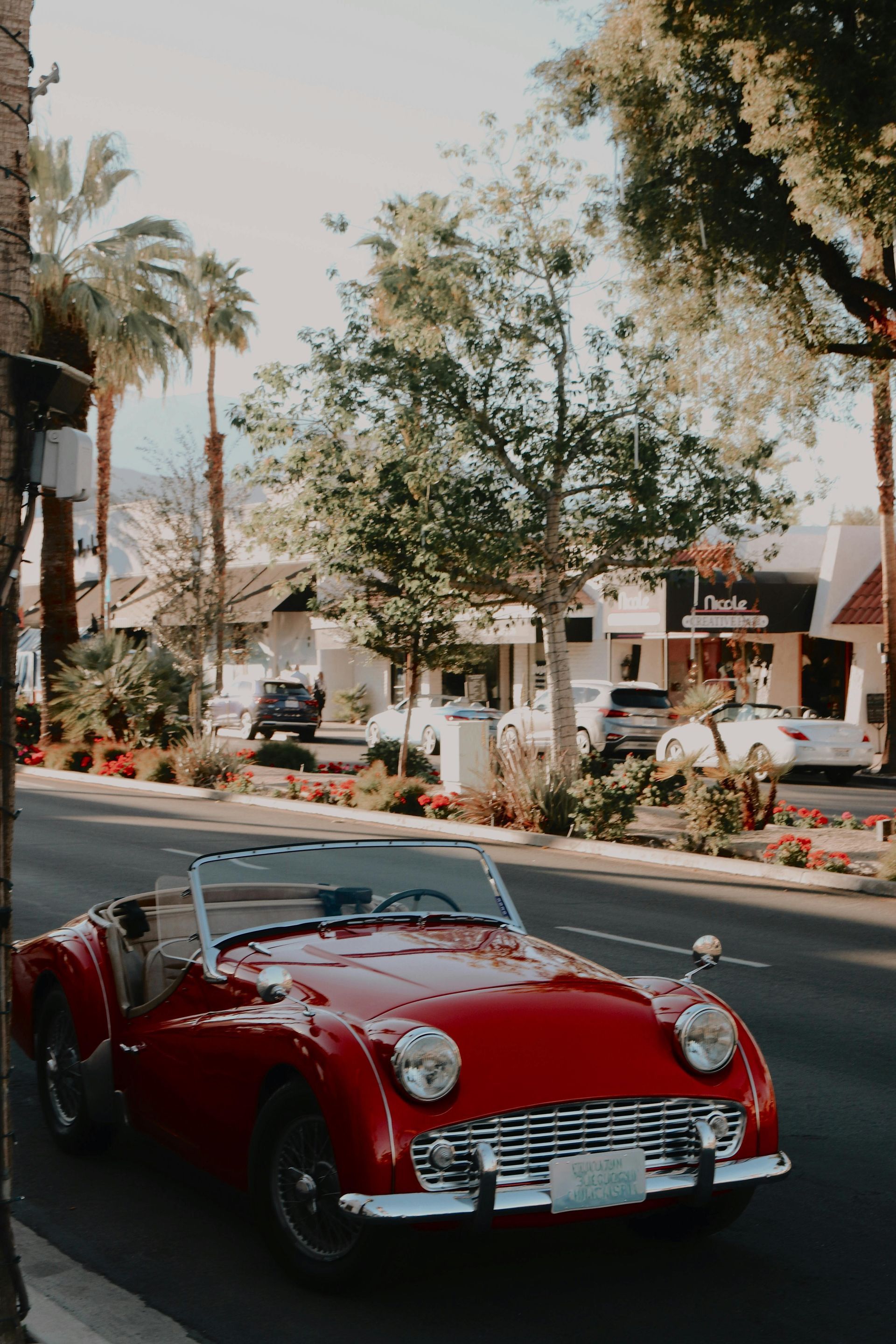 Triumph