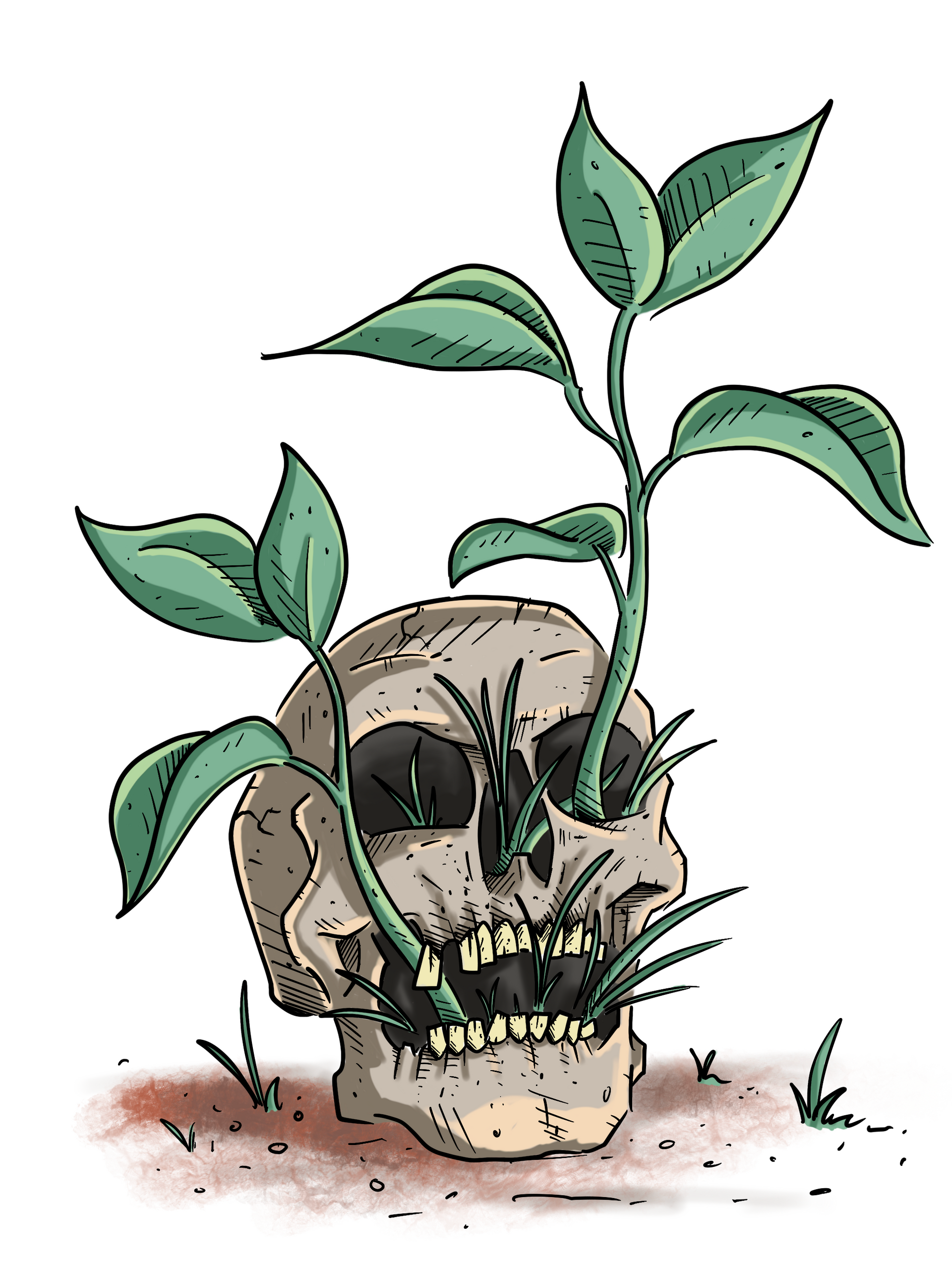 Skull with plants growing out of it