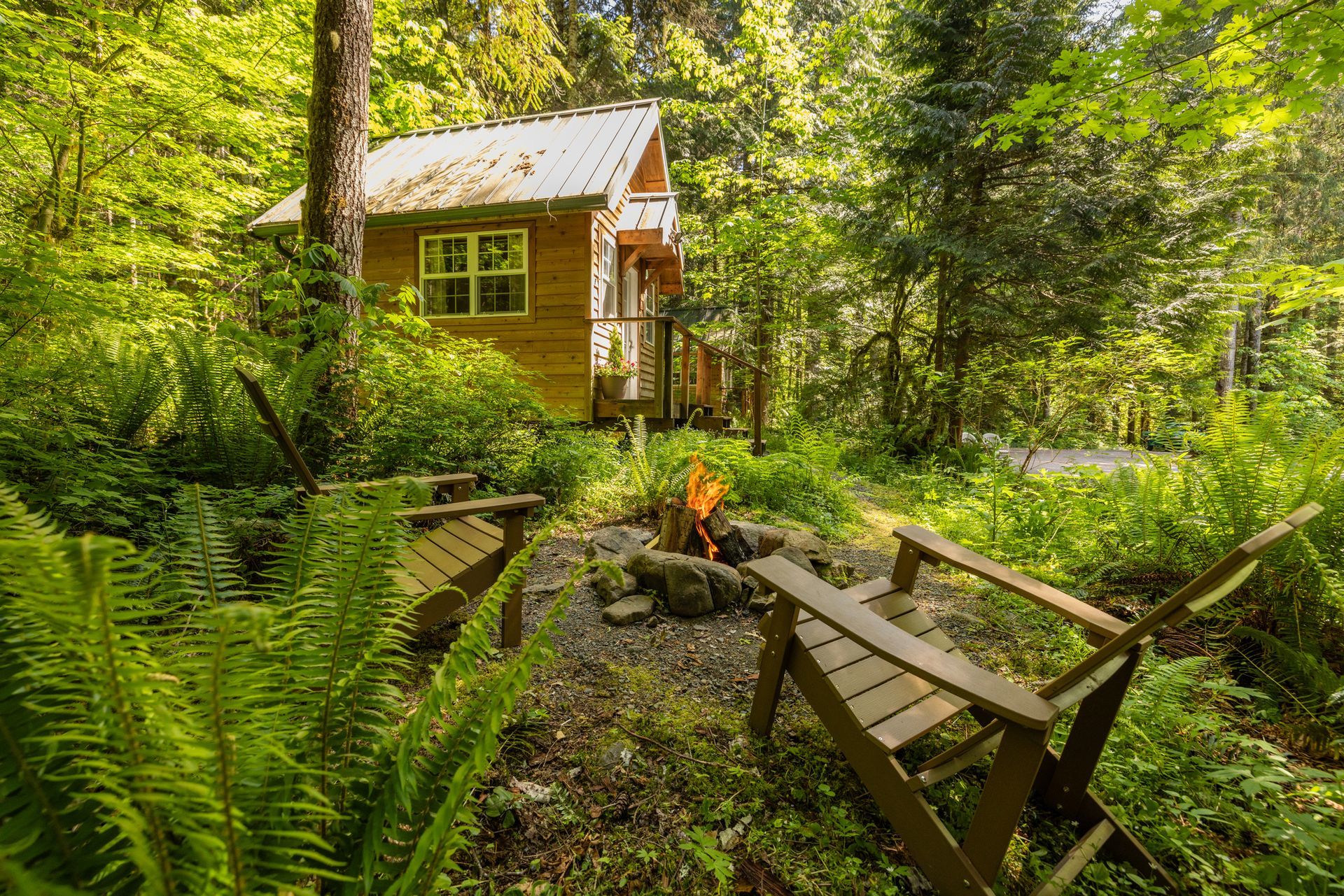 A small wooden cabin in the middle of a forest.