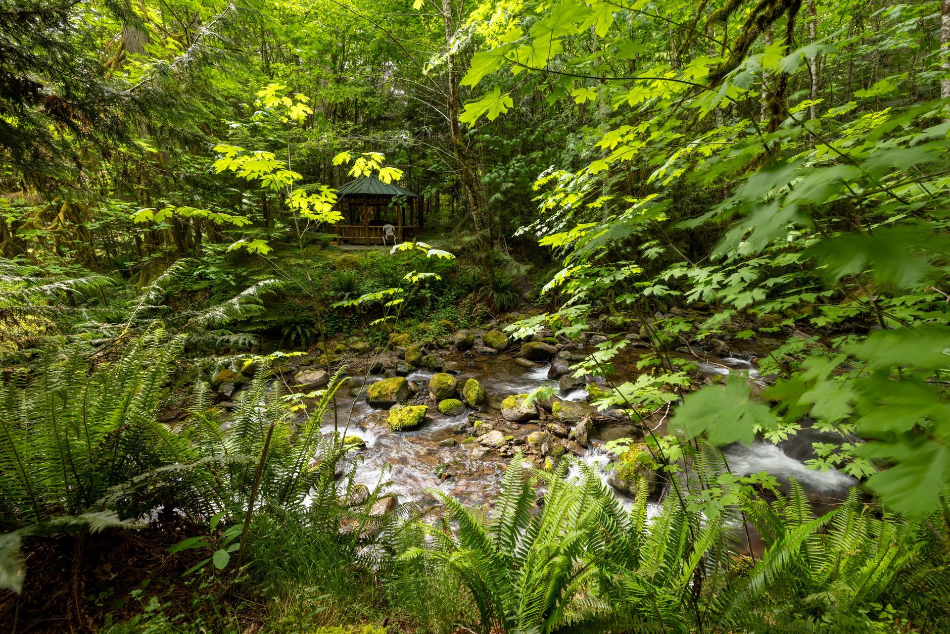 A river flowing through a forest surrounded by moss covered rocks.
