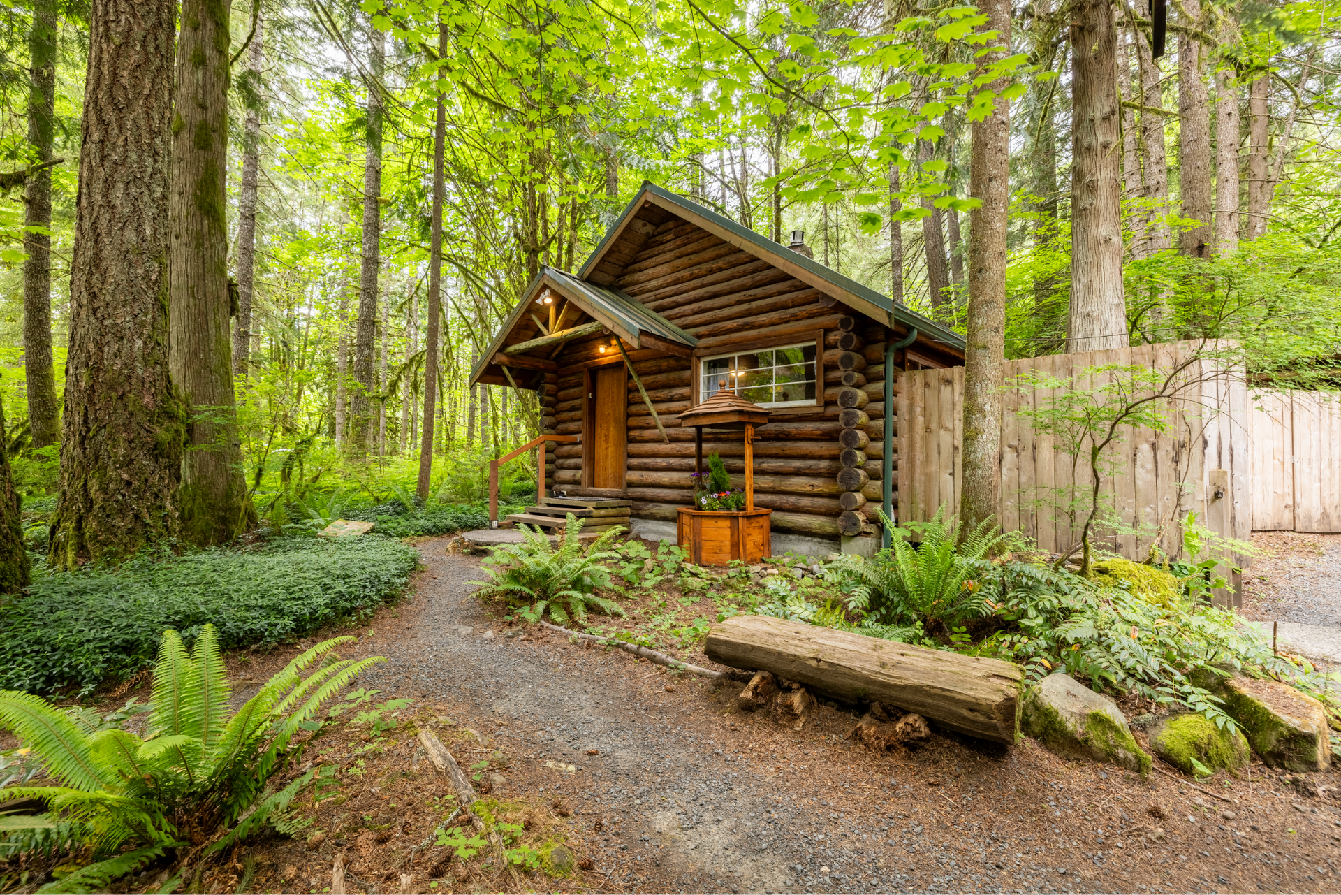 A rustic log cabin nestled in a lush green forest. A gravel path leads to the cabin's wooden door.