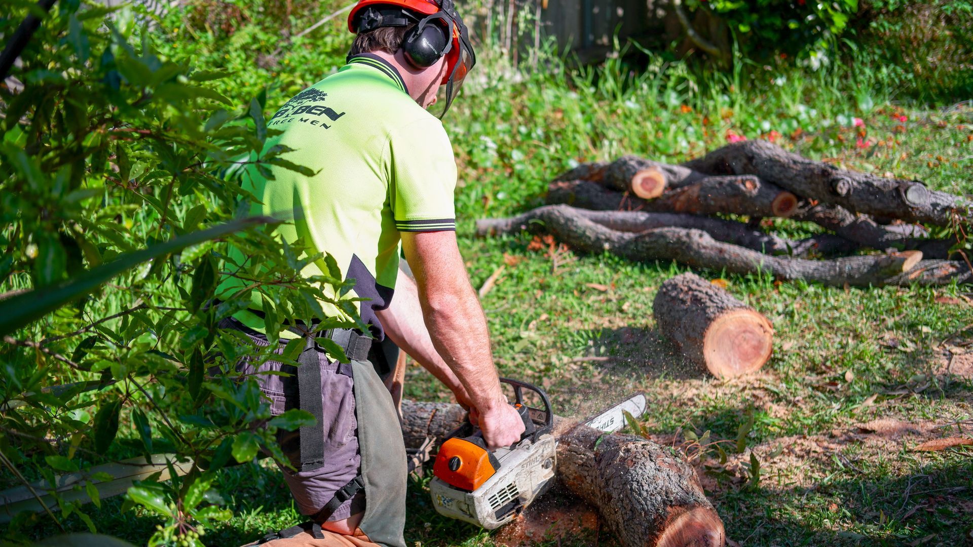removing tree