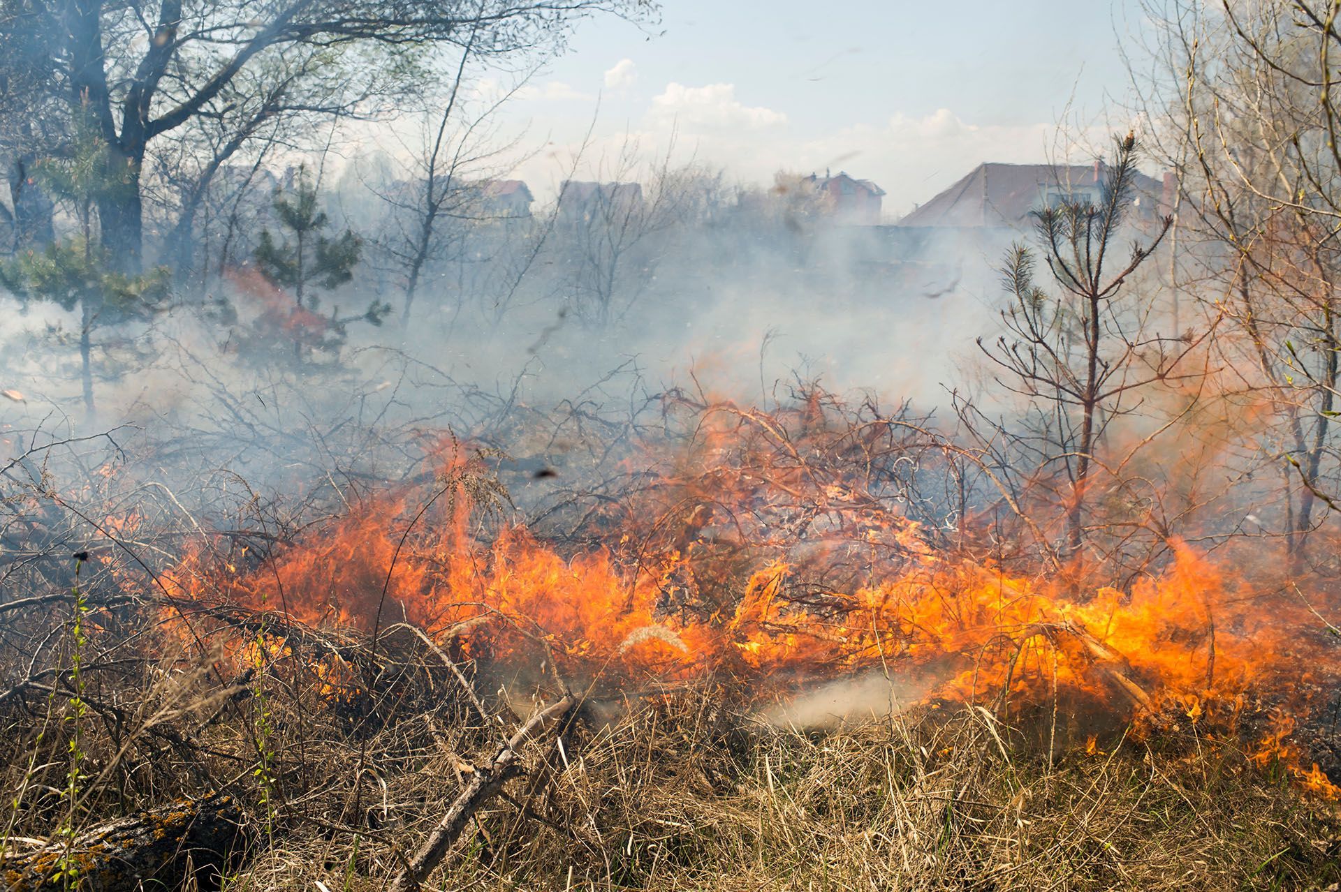 bushfire