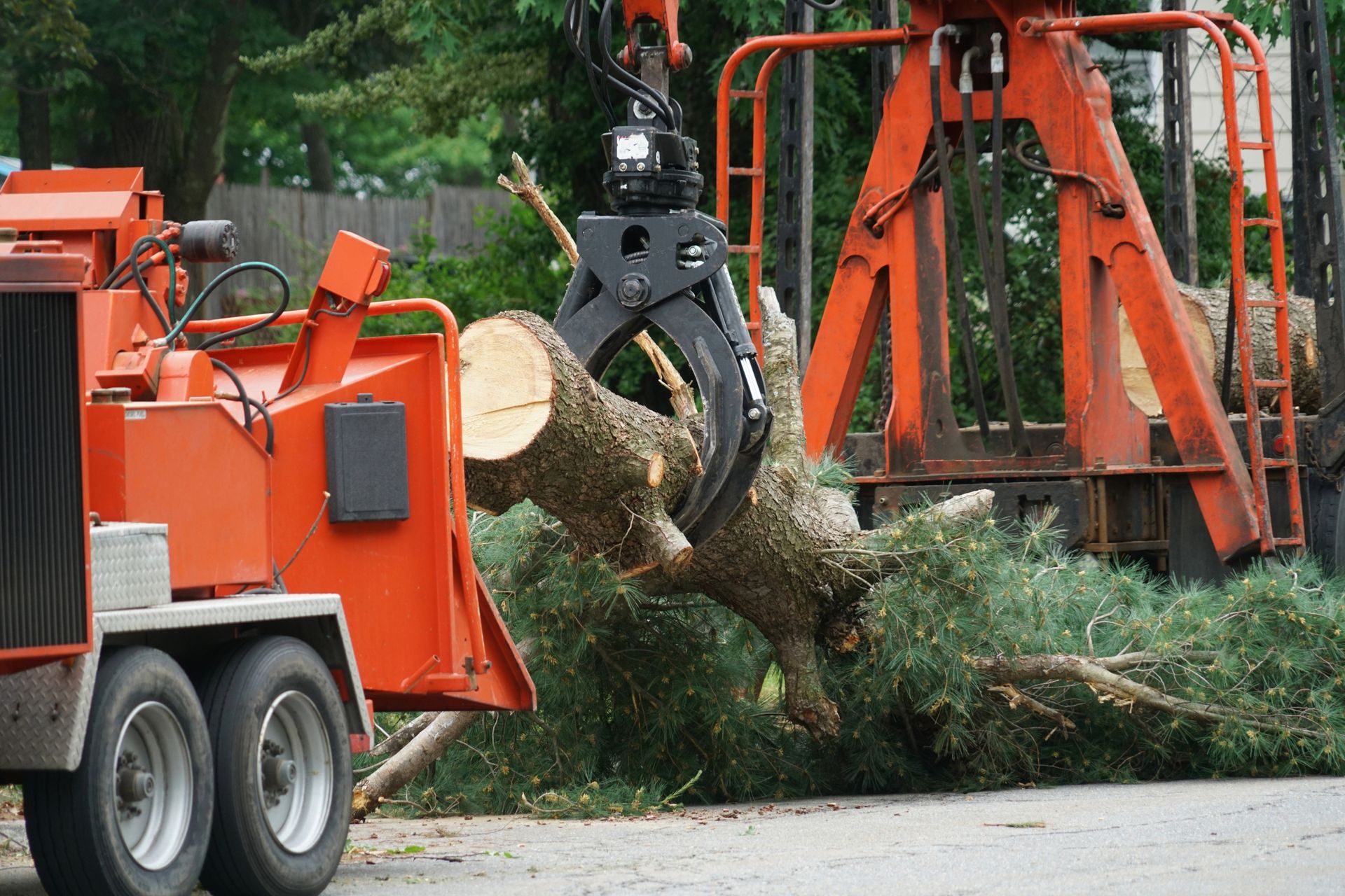 Orange wood chipper processing tree branch.