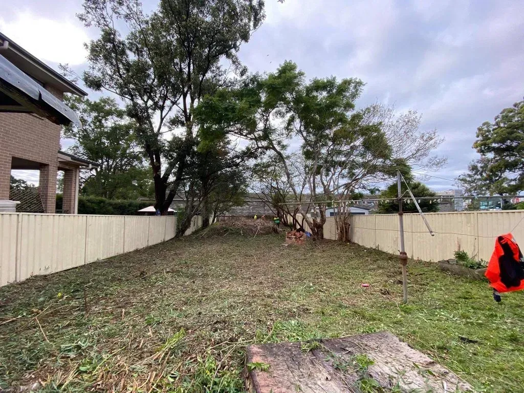 after land clearing