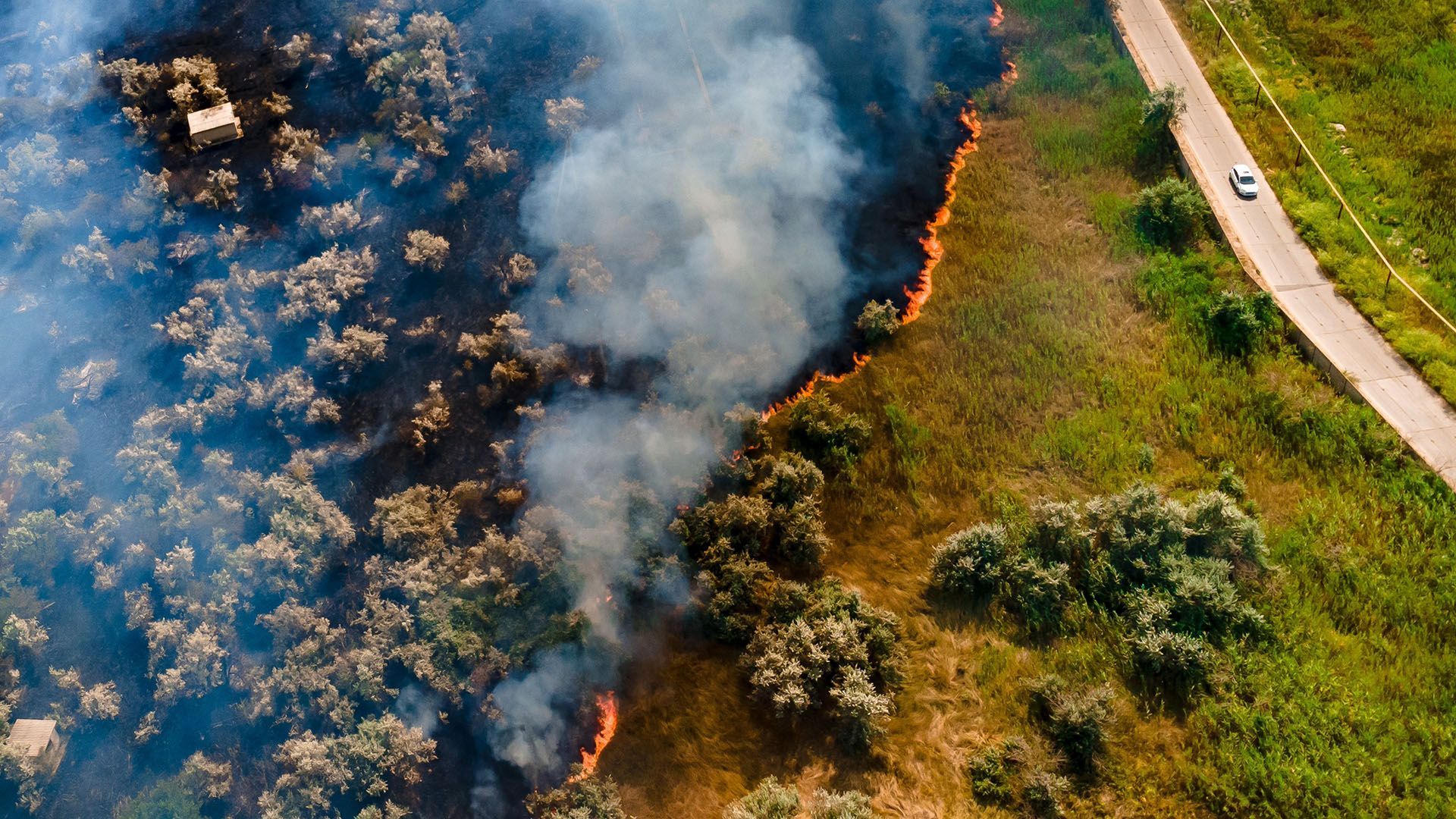 Wildfire burning along a field next to a road. Smoke rises, flames visible.
