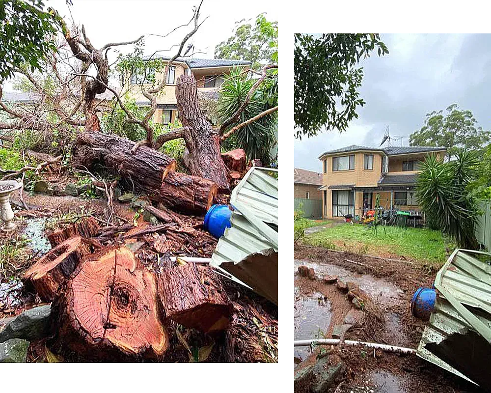 emergency land clearing