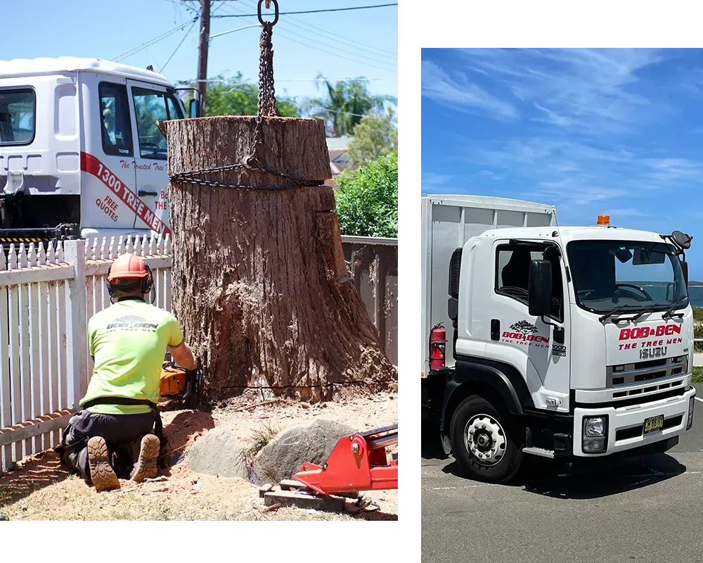 stump grinding Gymea