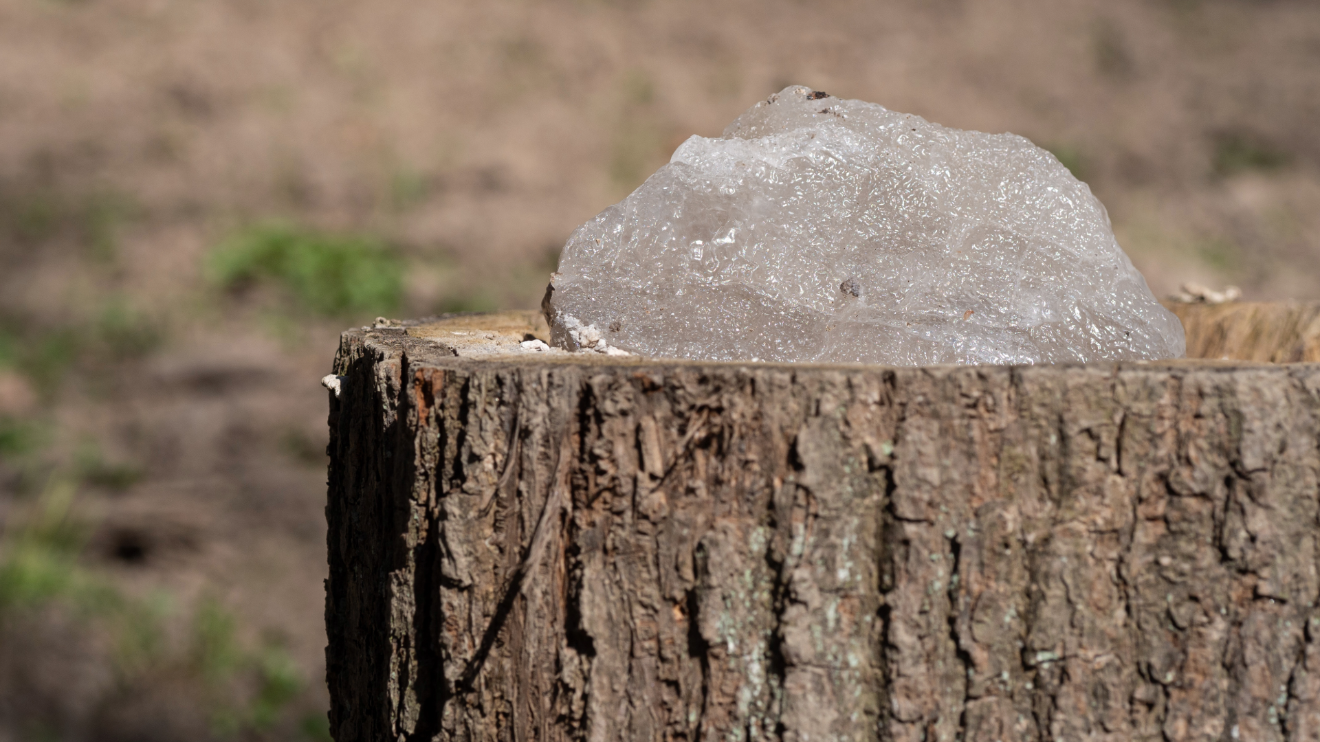Clear ice chunk melting on a weathered tree stump outdoors