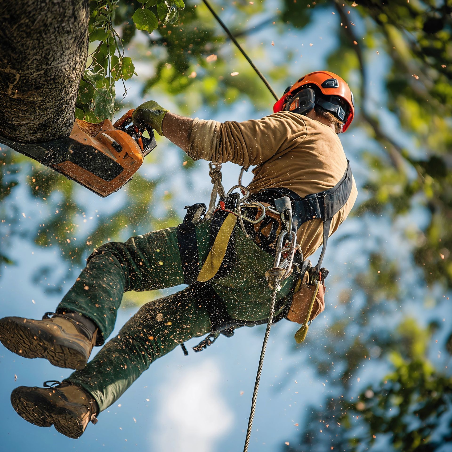 Arborist using a chainsaw while suspended in a tree; wearing safety gear, with sunlight shining through.