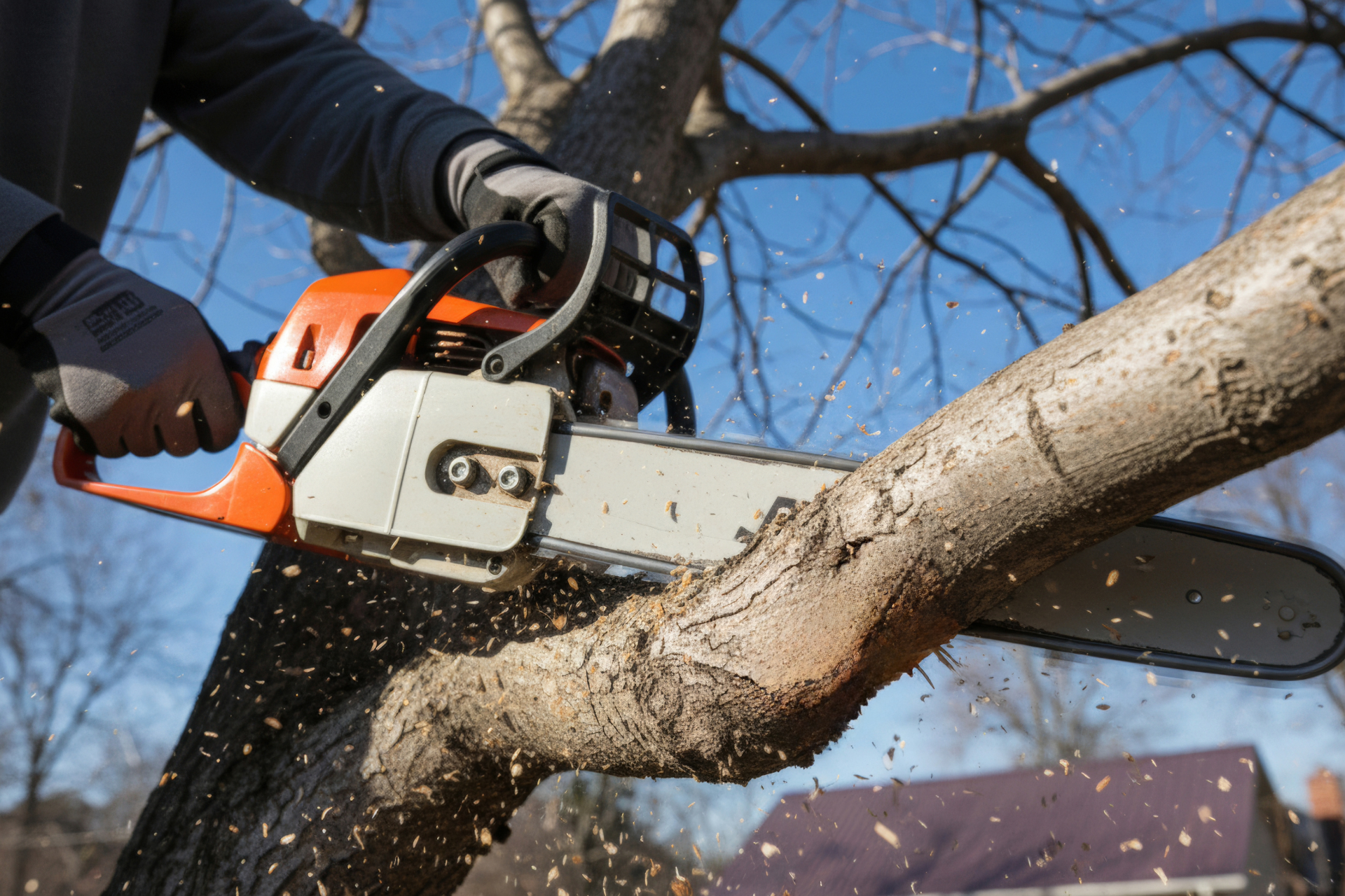 A person using a chainsaw to cut a tree branch outdoors