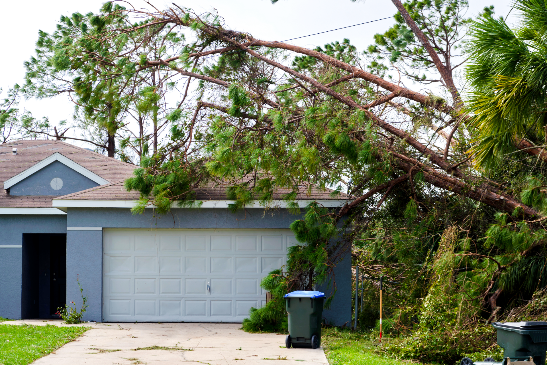 Storm-damaged tree branch resting over a suburban garage and driveway