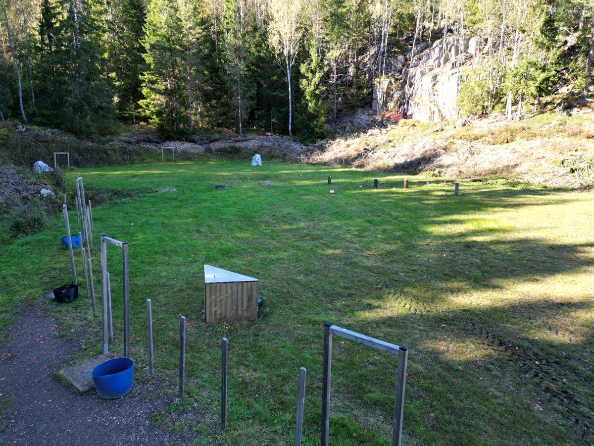 Gräsbevuxen gård med en kedjelänkad inhägnad, blå hink, liten trälåda och träd i bakgrunden