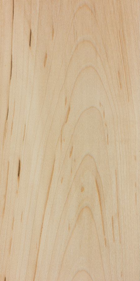 A close up of a piece of wood showing the grain and texture.
