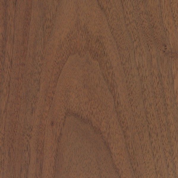 A close up of a piece of wood showing the grain and texture.