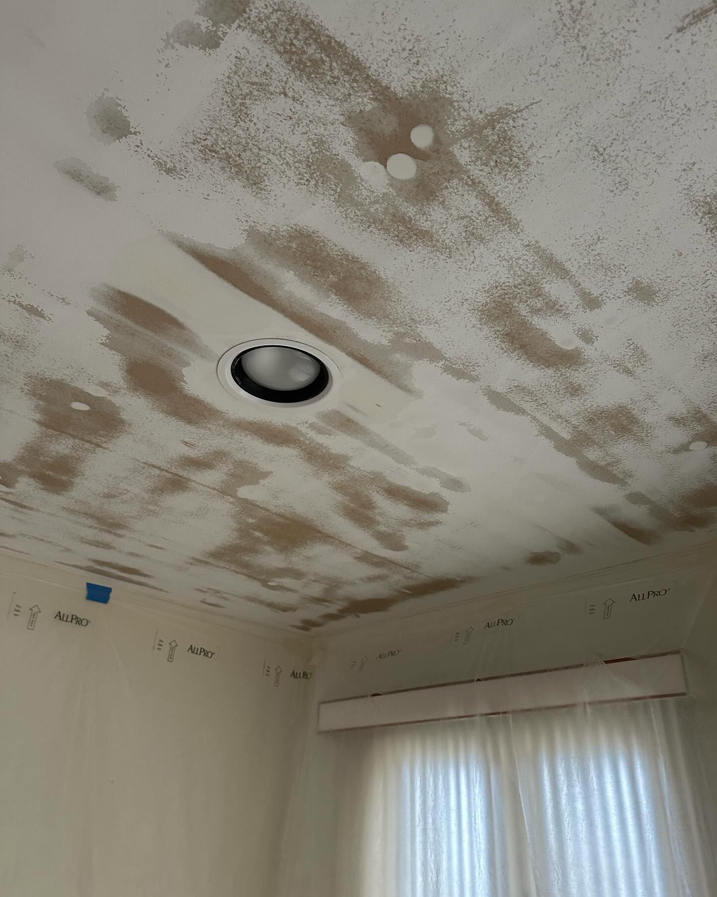 Best LBI Painter SPG Paint and Stain popcorn removal ocean county