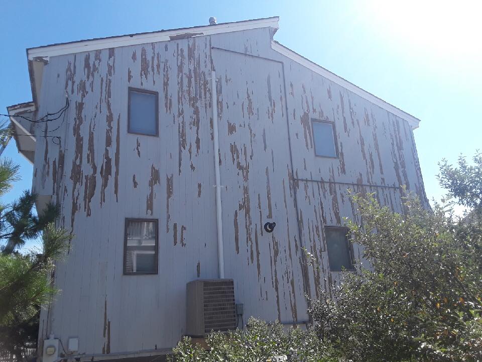 Holgate House Painter House painting waterfront home SPG Paint and Stain Barnegat Light waterfront Long Beach Island LBI