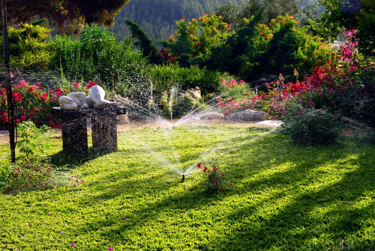 Green lawn with sprinkler system watering, surrounded by flowers and greenery, in a garden.