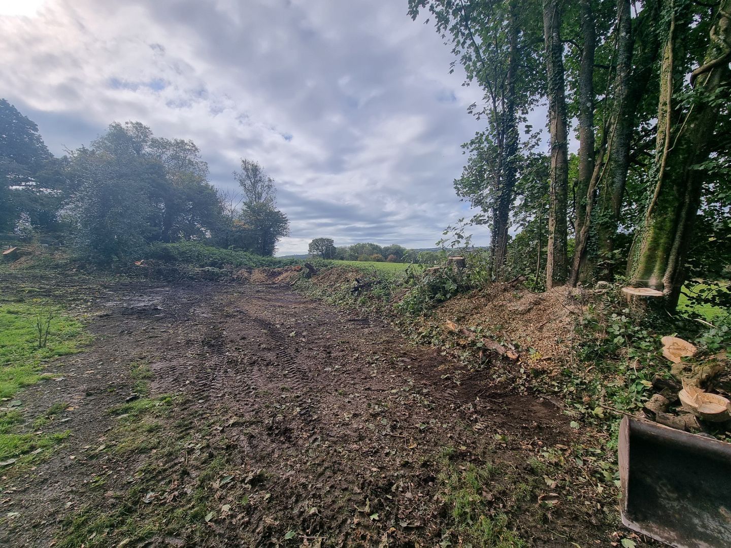 Site clearance
