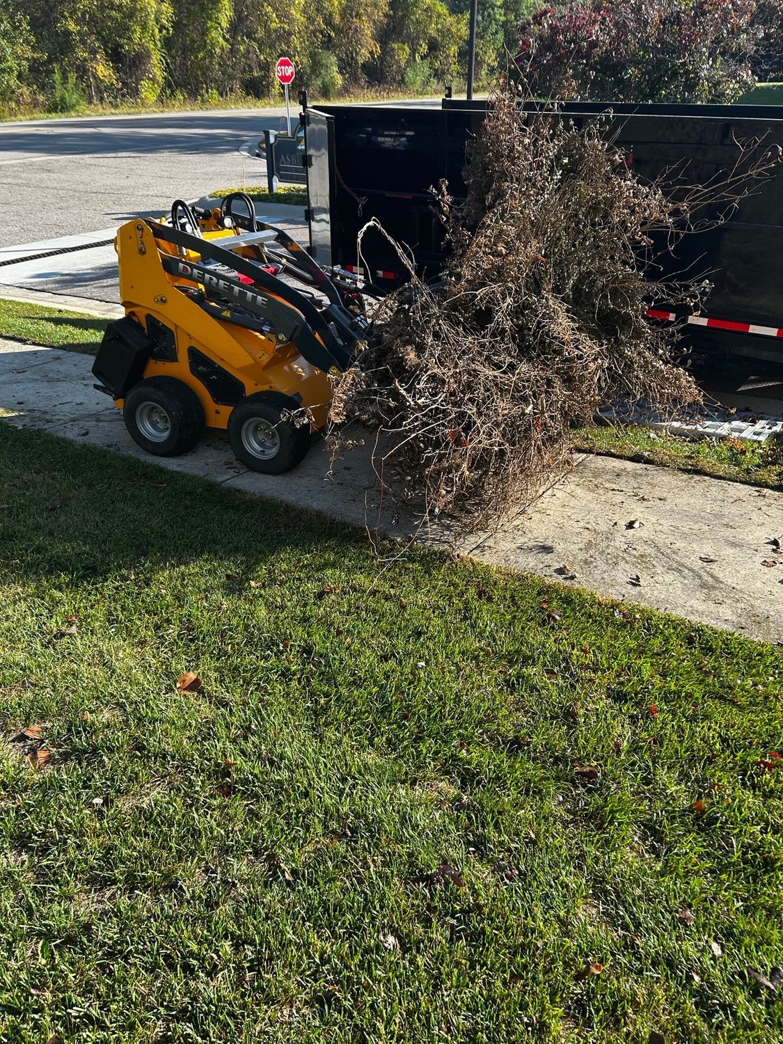 Yellow skid steer clearing branches beside a black trailer on a grassy roadside.