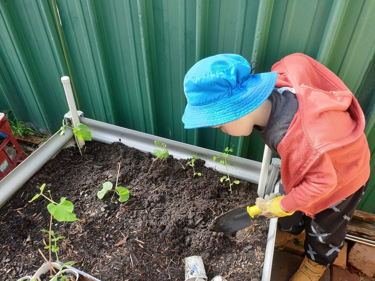 Kids Gardening — Holmesville, NSW — Holmesville Playhouse Preschool