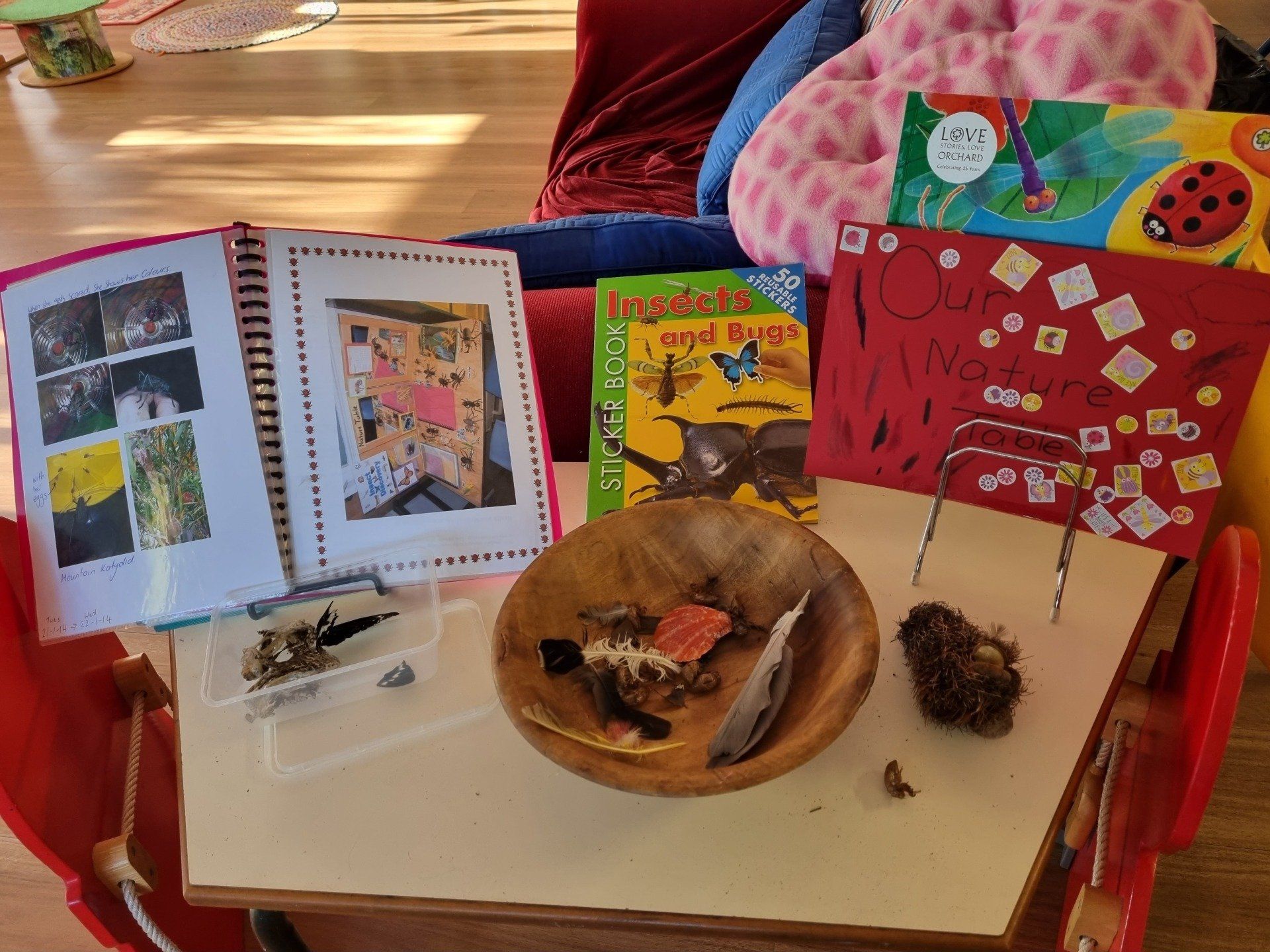 Animal Books for Kids — Holmesville, NSW — Holmesville Playhouse Preschool