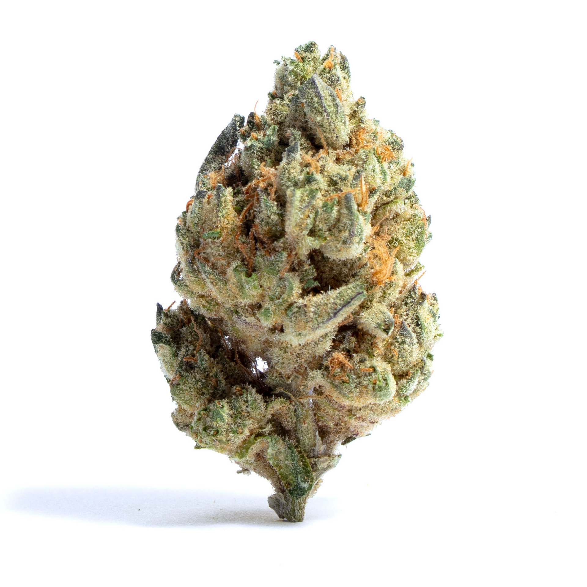 Zushi OG