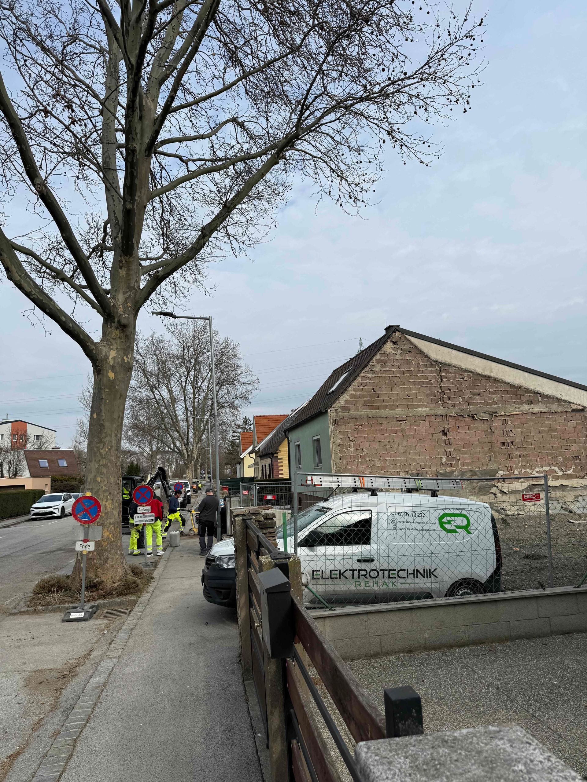 Baum im Freien Elektroinstallation