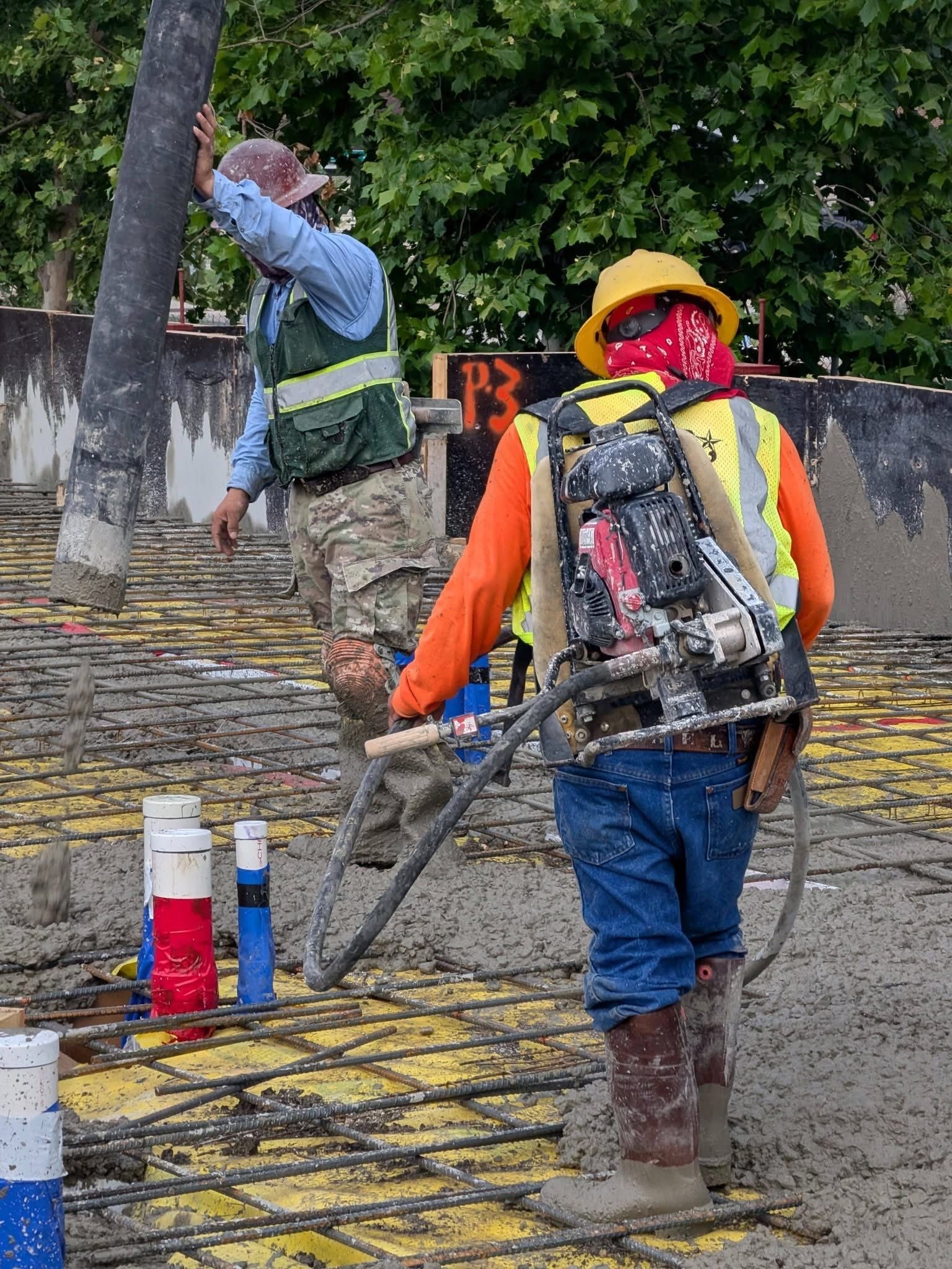 Workers painting utility poles outdoors, one in orange safety gear carrying equipment, another in blue near a tree.