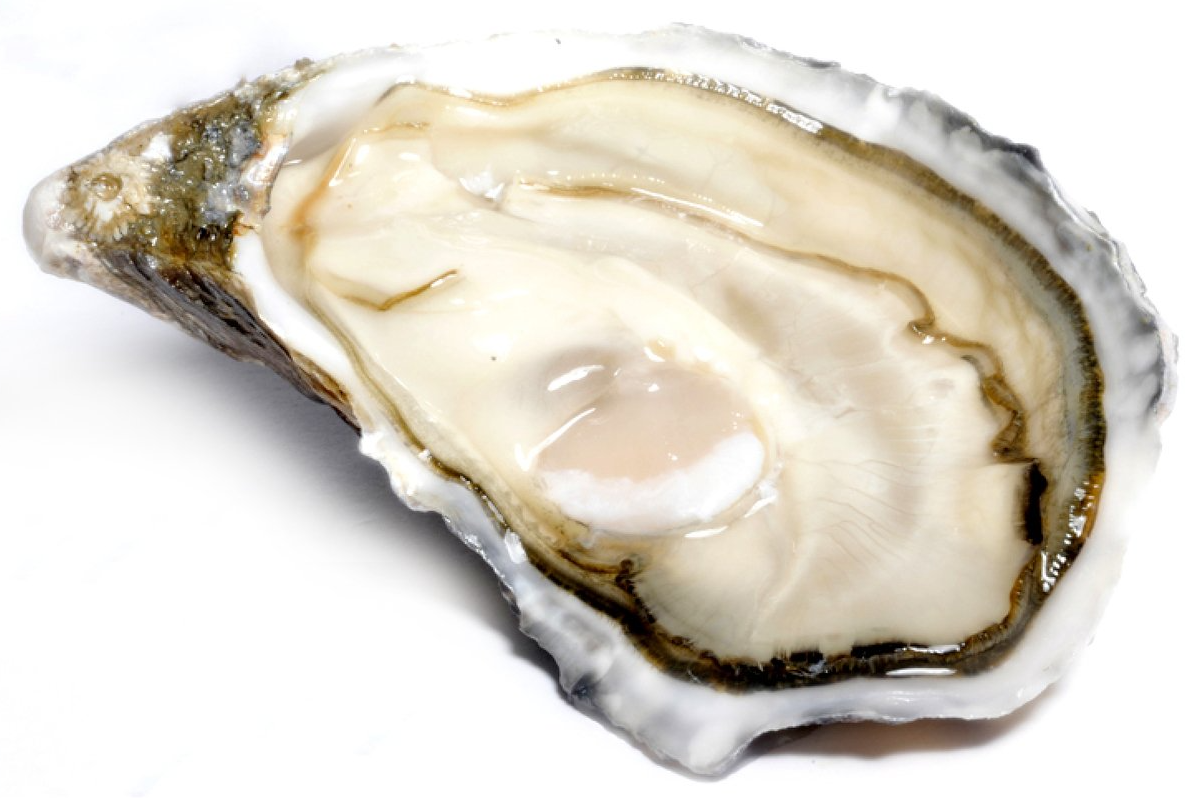 Ostriche Gillardeau