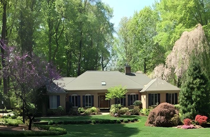A house surrounded by trees and bushes on a sunny day