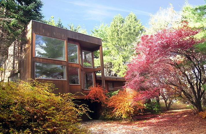 A house with a lot of windows is surrounded by trees and leaves.
