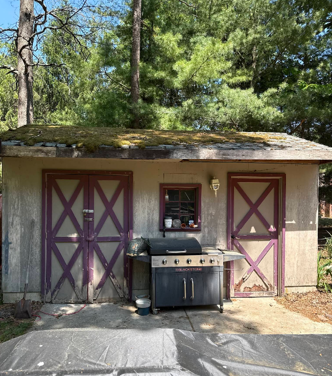 Small backyard shed with purple-trimmed doors, a grill in front, and trees in the background.