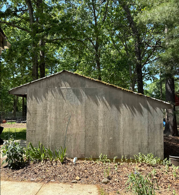 Small gray shed in a wooded yard with trees and mulch around it