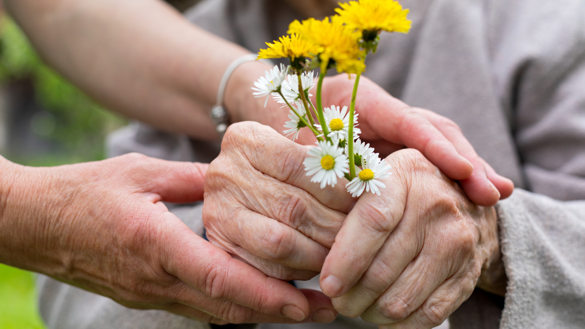 Hands gently holding an elderly person's hands around a small bouquet of yellow and white flowers.