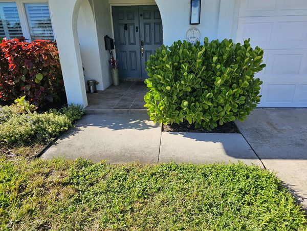 Front of a house with a concrete path, green shrub, and front door.
