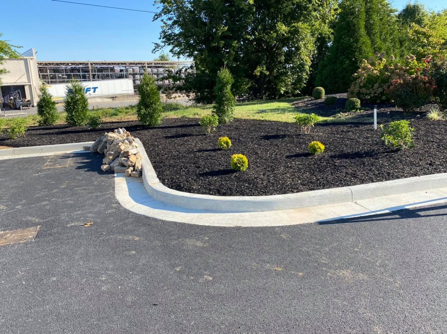 flowerbed alongside parking lot