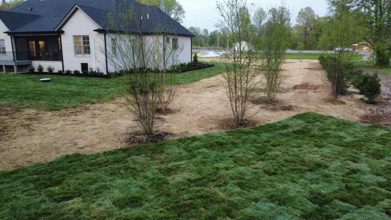 sod installation