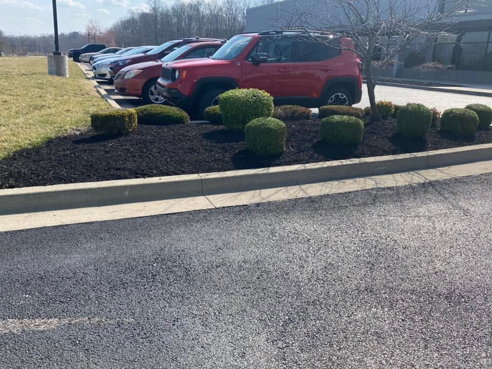 flowerbed alongside parking lot