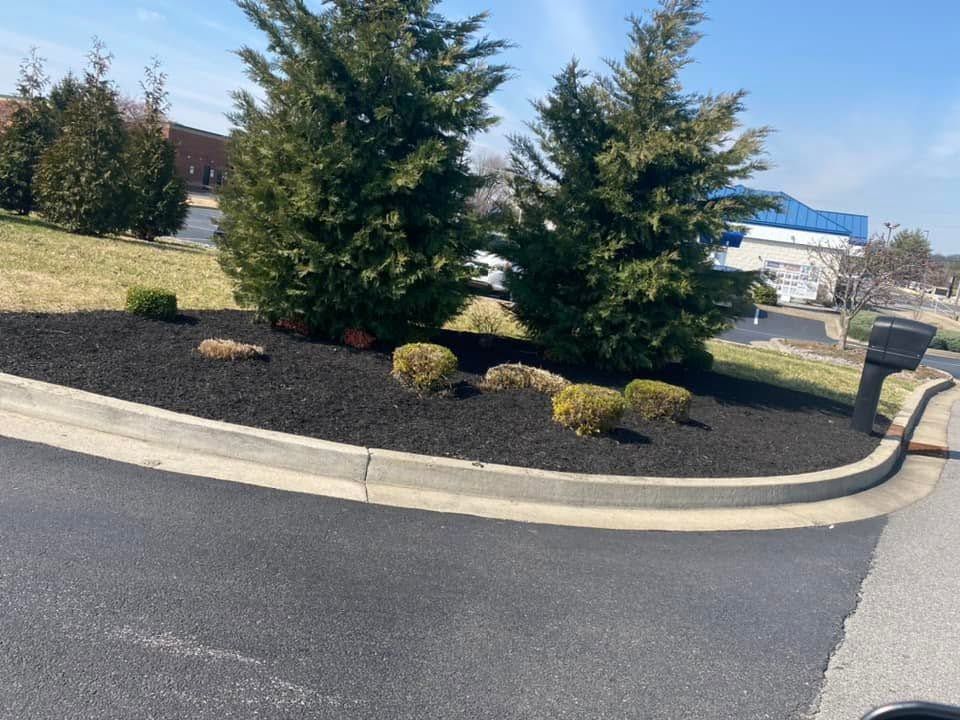 commercial landscpaing