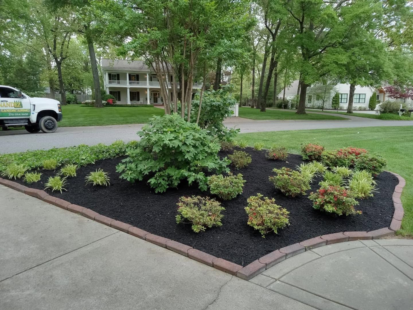 shade flower bed