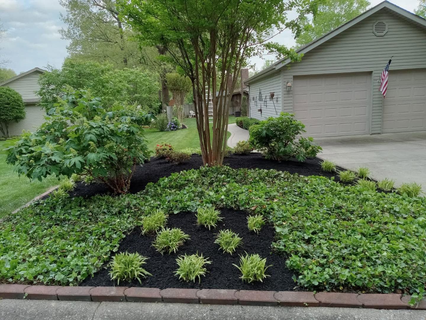 flowerbed with low ground cover