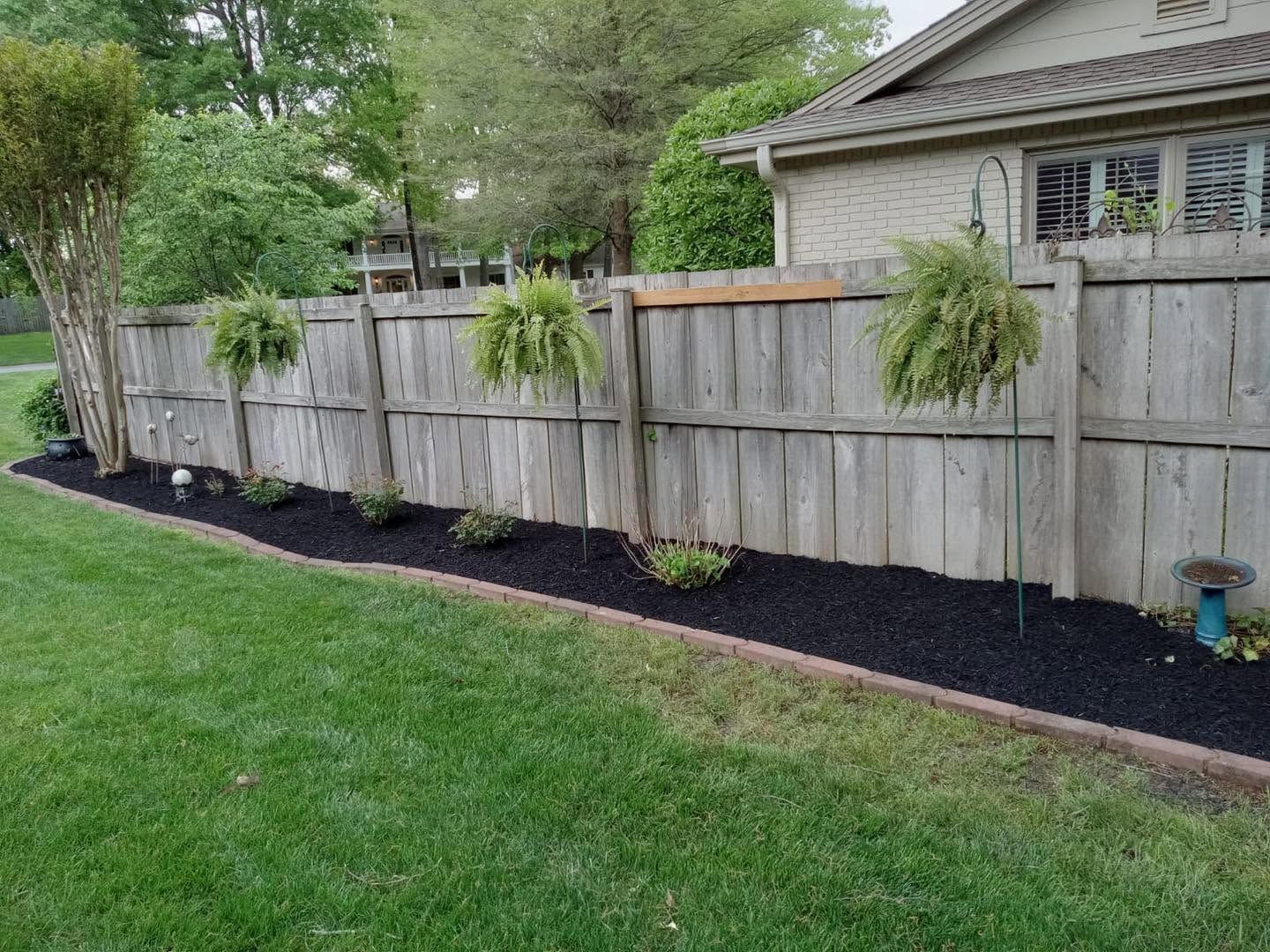 flowerbed along fence with hanging ferns