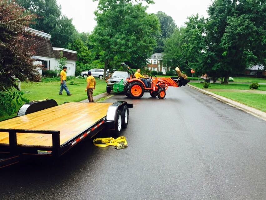 storm damage clean up