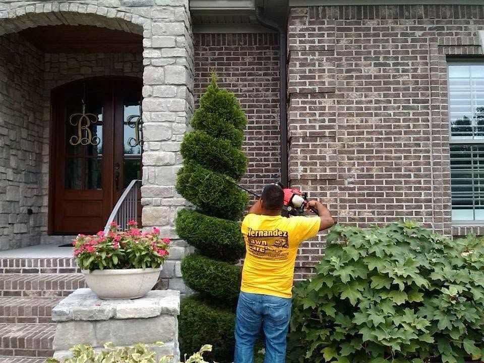artistic tree trimming