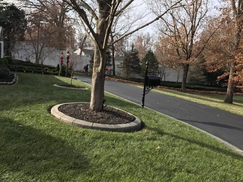 found flower beds around trees