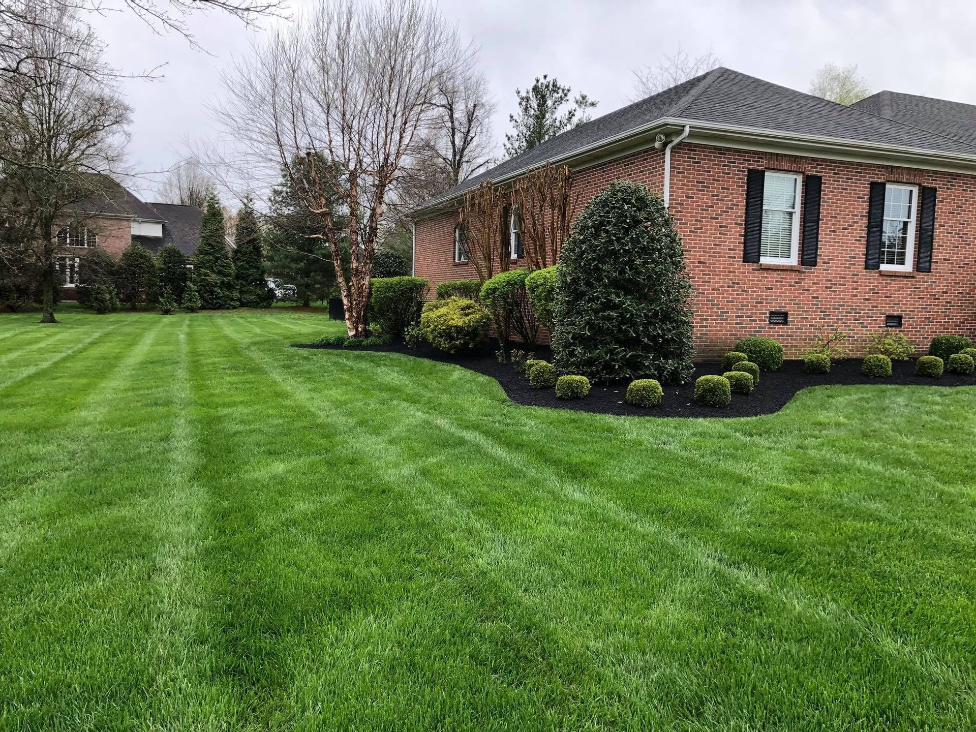 freshly mowed lawn