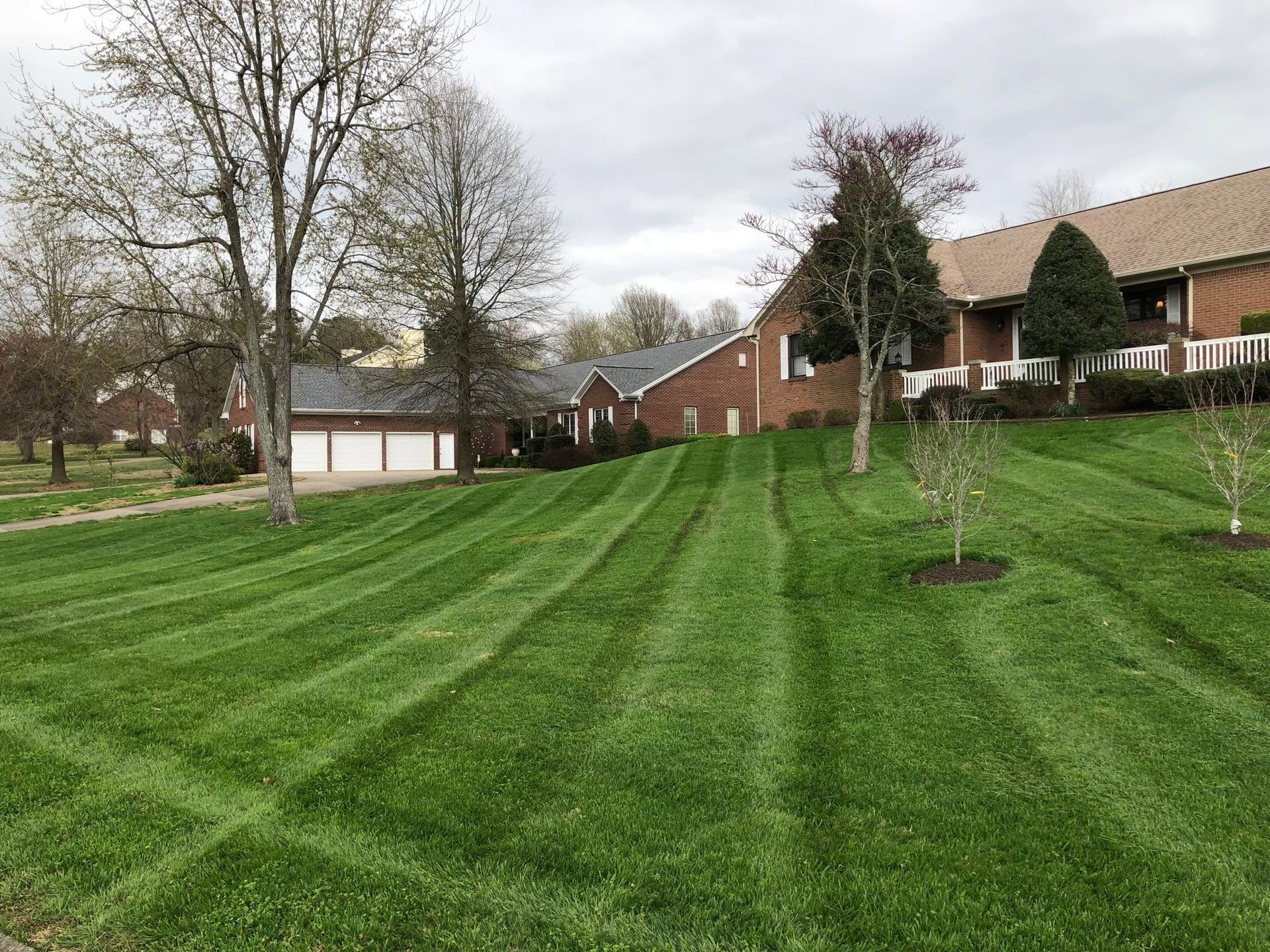 freshly mowed lawn